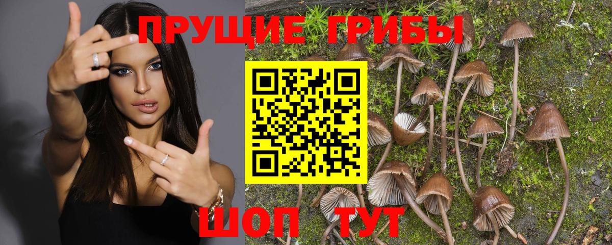 Галлюциногенные грибы мухоморы Камышлов
