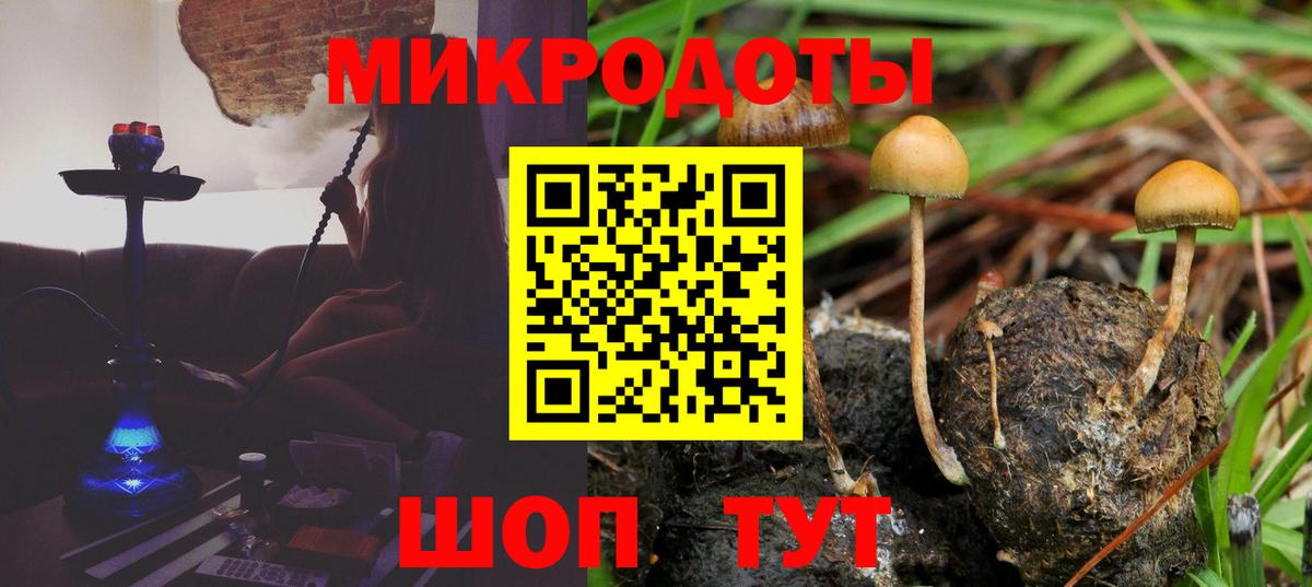 Камышлов  Псилоцибиновые грибы ЛСД  Вход с VPN 